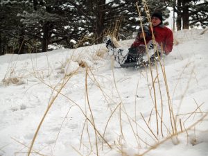 hiver-luge-en-famille