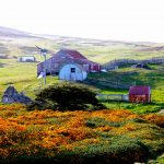 falkland-islands_2