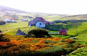 falkland-islands_2