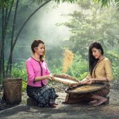 Séjour gastronomique au Vietnam : découverte du Coóc mò