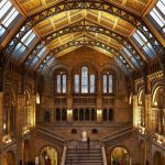 musée d'histoire naturelle de Londres