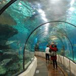 L’aquarium de Barcelone