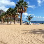 Des visites riches en découvertes dans l&rsquo;archipel des Canaries