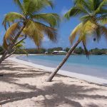 Martinique_Beach_(Salines)