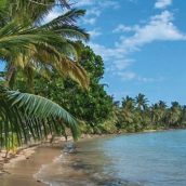 Découvrir Saintes Maries de la Mer dans tous ses attraits