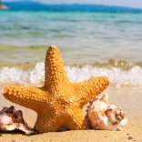 Les statistiques prouvant que voyager a du bon