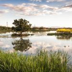 Parc Natural dels Aiguamolls de l’Empordà