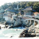 Quelques adresses immanquables à visiter le temps d’un voyage en Corée du Sud