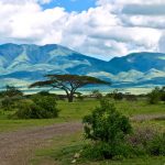 Mountains_of_the_Serengeti