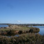 Les salins d'Hyères