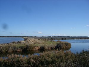 Les salins d'Hyères en France