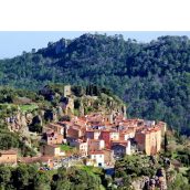 Que visiter et que faire dans le Var ?