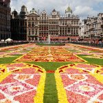 Bruxelles tapis de fleurs