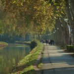 Le Canal du Midi