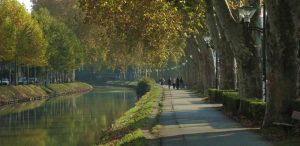 Le Canal du Midi à Toulouse