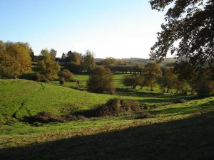 Limousin paysage