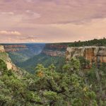 Mesa Verde