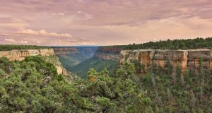 Parc national de Mesa Verde au Colorado