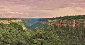 Parc national de Mesa Verde au Colorado