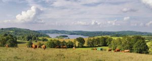 Paysage du Limousin en France