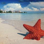 Bahamas : 2 bonnes raisons d’y aller pour les prochaines vacances