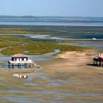 Bassin d'Arcachon Cabanes tchanquées