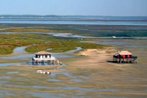 Bassin d'Arcachon les Cabanes tchanquées en France