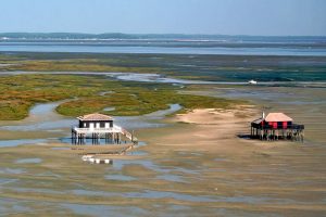 Bassin d'Arcachon les Cabanes tchanquées en France