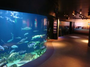 Musée de l'Aquarium à Arcachon en France