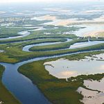 Parc National du delta du Saloum