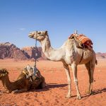 Randonnée et trek en Jordanie