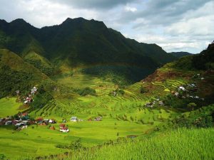 Les rizières en terrasse de Banaue sur l'île de Luçon aux Philippines