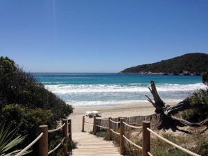 Plage à Ibiza pendant les vacances