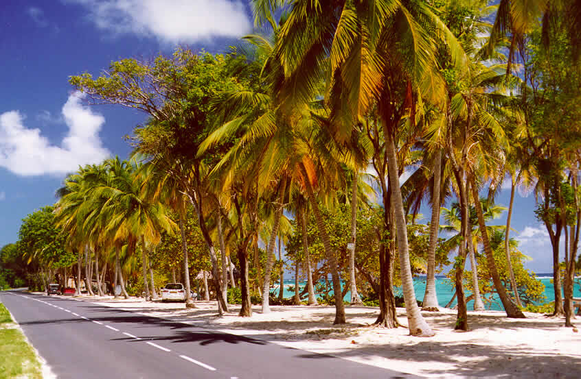 Archipel des Petites Antilles, l'île de Marie-Galante en Guadeloupe