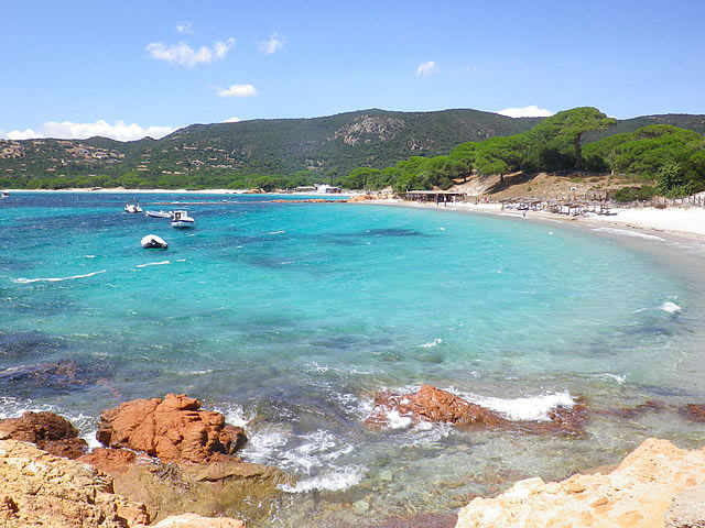 La plage de Palombaggia en Corse du Sud