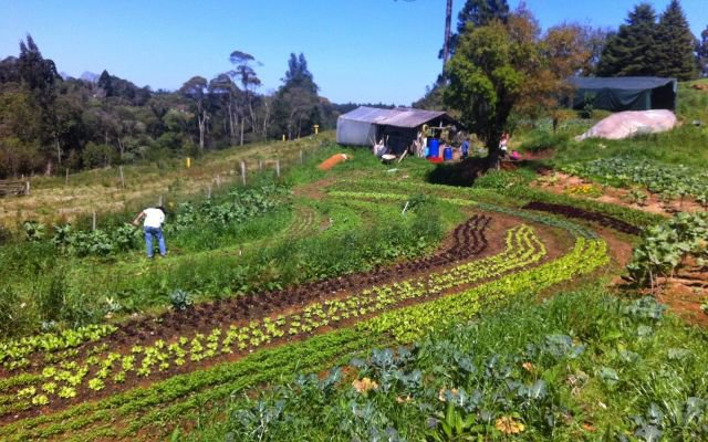 Le Wwoofing c'est travailler et voyager