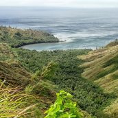 Le guide pour passer des vacances mémorables en Micronésie