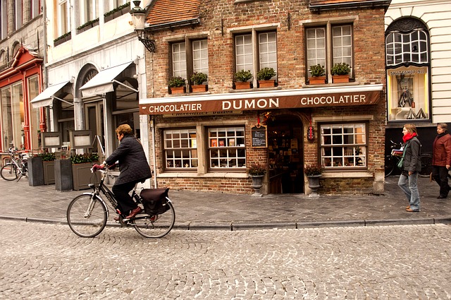 Visite de Bruges à vélo