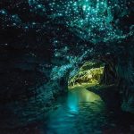 Image dans les grottes Waitomo