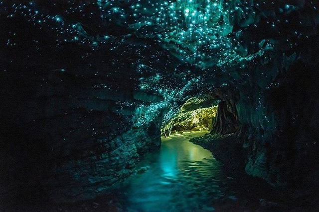 Image dans les grottes Waitomo