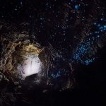 La cave de Waitomo en Nouvelle-Zélande
