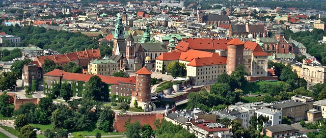 Le château du Wawel à Cracovie en Pologne