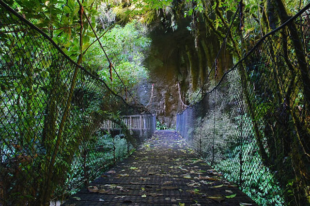 Le pont naturel de Mangapohue ou le Mangapohue Natural Bridge Walk