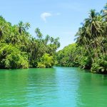 La riviere Loboc a Bohol 