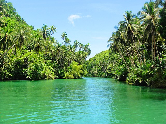 La riviere Loboc a Bohol