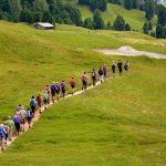 Une excursion à terre 