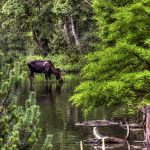 Le parc national du W