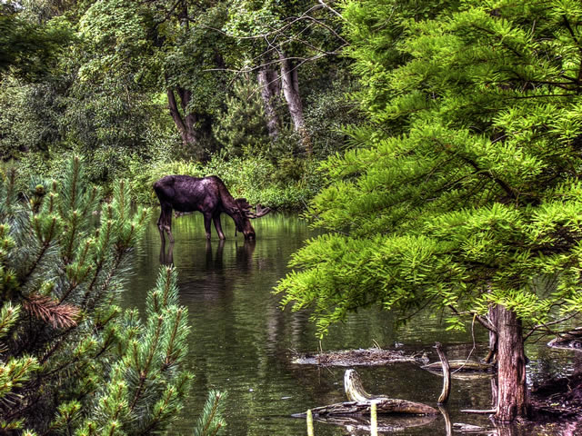 Le parc national du W