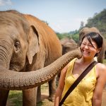 Se divertir en compagnie des éléphants