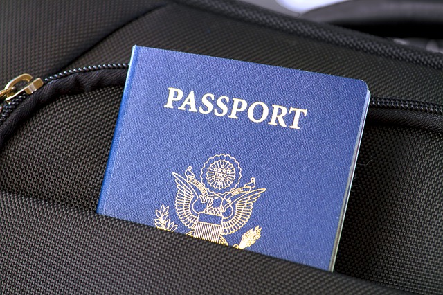 Valise passeport